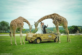 Jeep con Jirafas - Africam Safari - Puebla